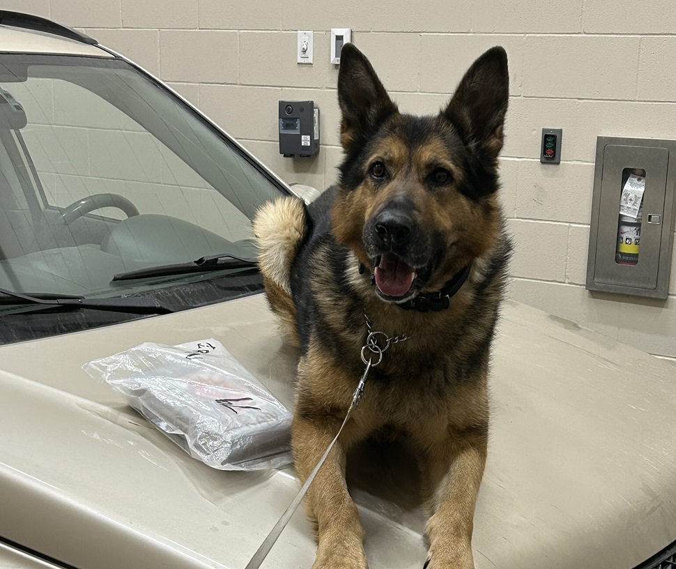 Saskatchewan Rcmp Seize 1 Kg Of Cocaine During Traffic Stop